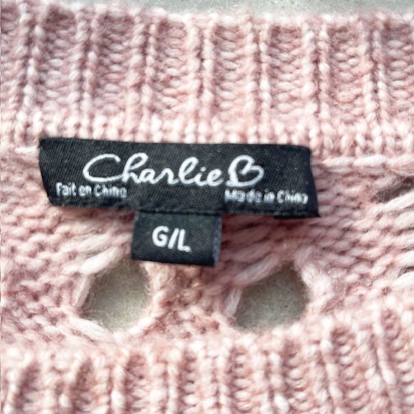 Charlie B Collection Open Weave Cropped Striped Sweater, Pink and Gray, Size L - Picture 6 of 6